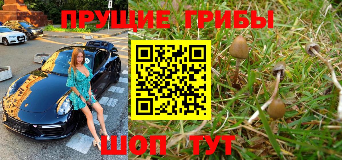Псилоцибиновые грибы Cubensis Шарыпово
